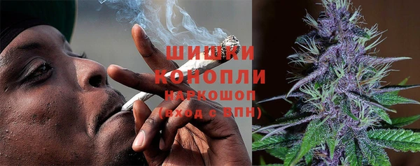 apvp Аркадак