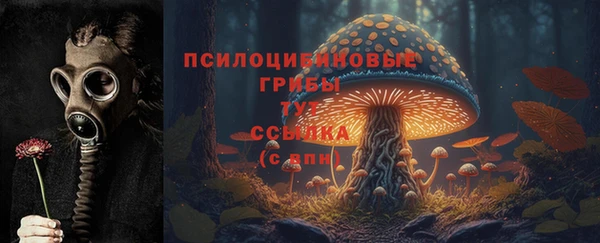 гидра Балабаново