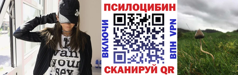 мега Спасск-Дальний Псилоцибиновые грибы мухоморы